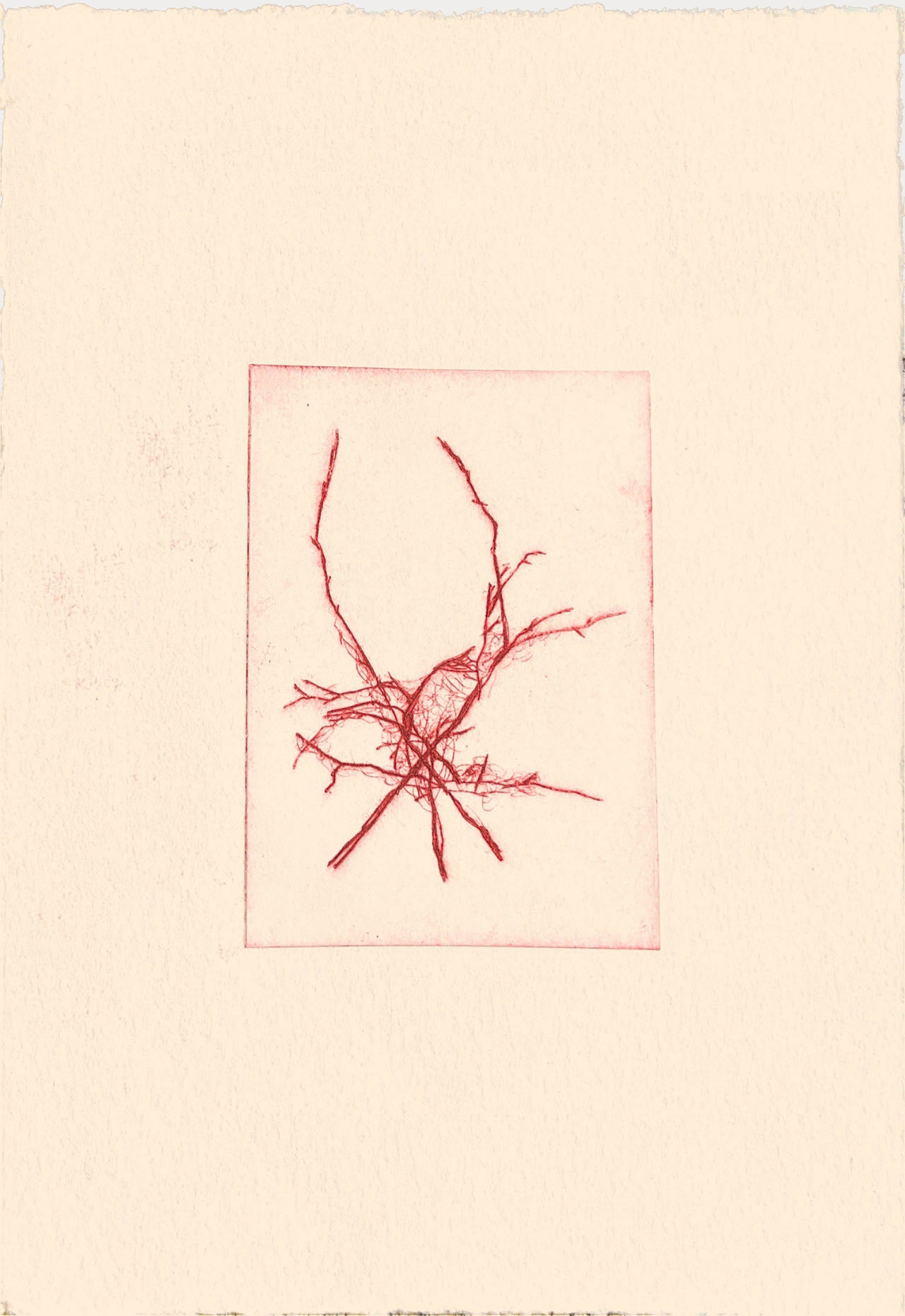 A Place to Grow Drypoint